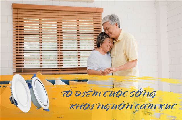 Tại sao nên sử dụng đèn Downlight LED Roman?