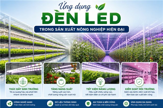 Ứng dụng đèn LED trong sản xuất nông nghiệp hiện đại