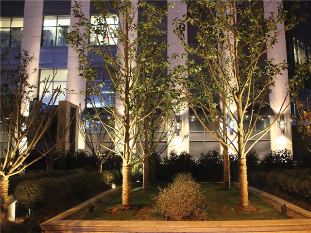 Những lưu ý khi chọn đèn pha gốc cây 