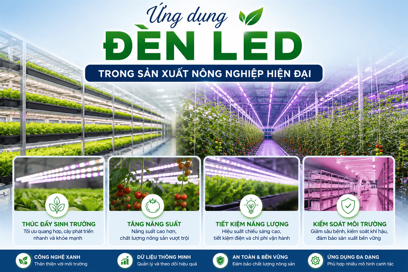 den led
