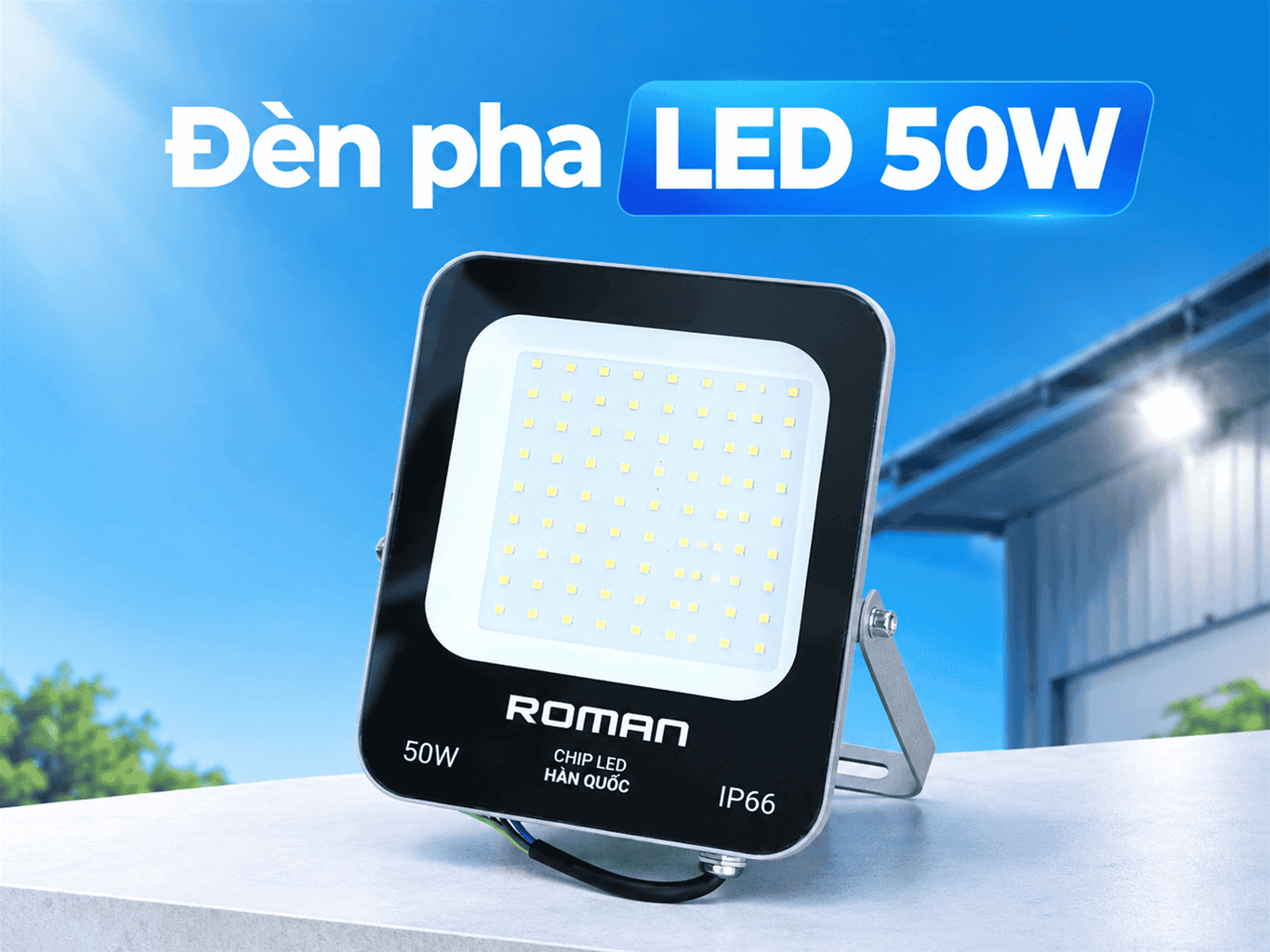den pha led