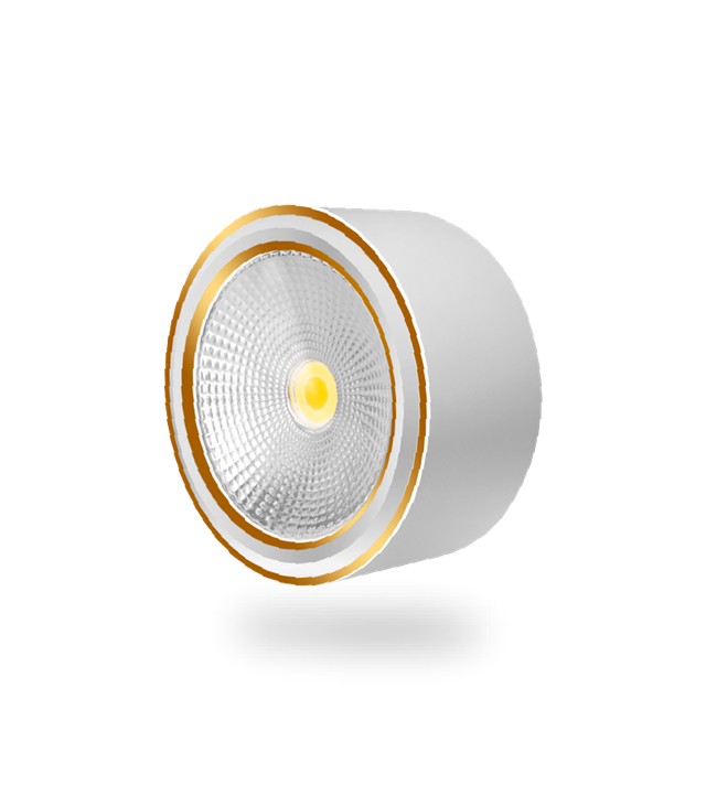 Đèn Downlight Nổi