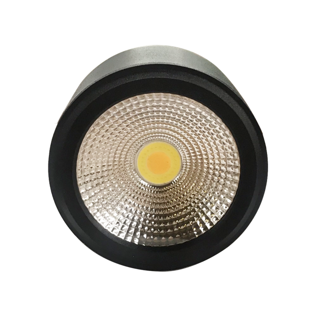 den-downlight-noi