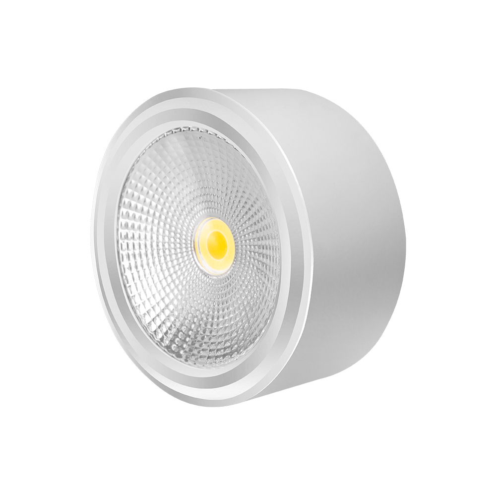 Đèn downlight nổi 12W tròn ELD5001W,B